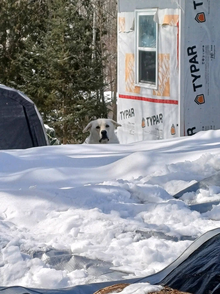 Gambar diunggah dening Mason