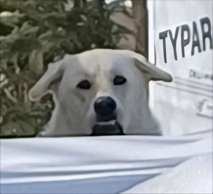 Gambar diunggah dening Mason