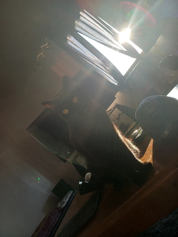 Gambar diunggah dening Mason