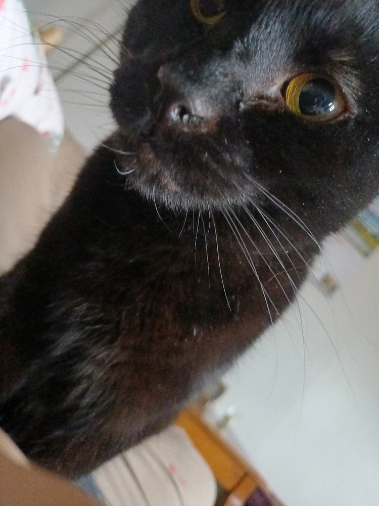 Gambar diunggah dening Mason