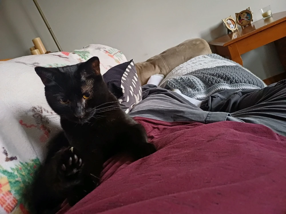 Gambar diunggah dening Mason