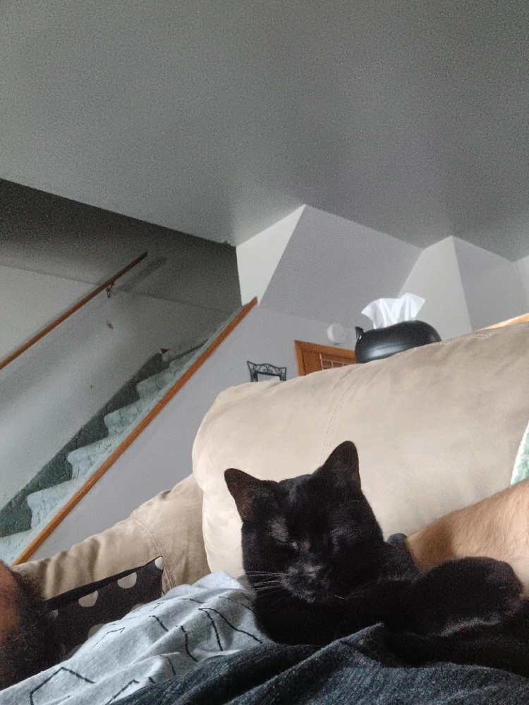 Gambar diunggah dening Mason