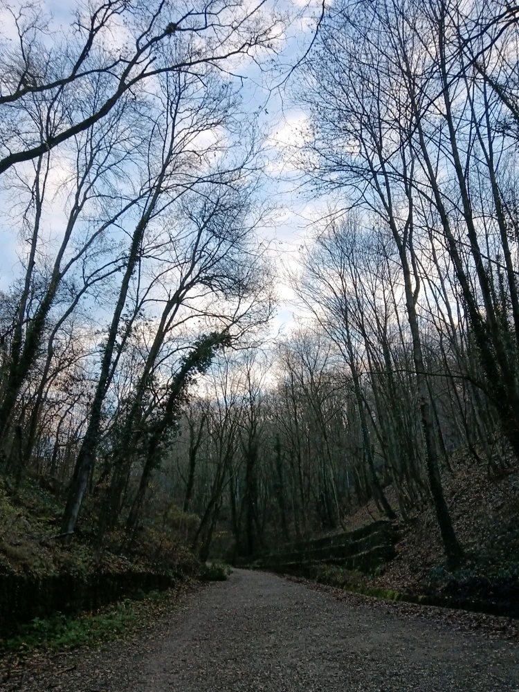 Image ajoutée par Saffiya