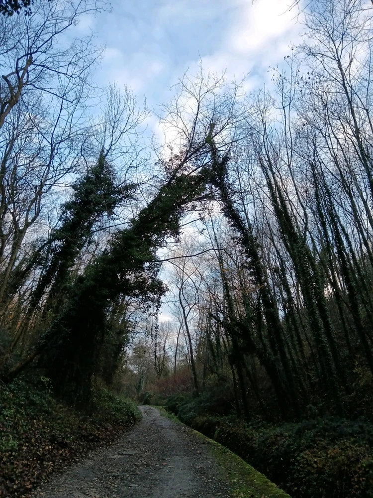 Image ajoutée par Saffiya