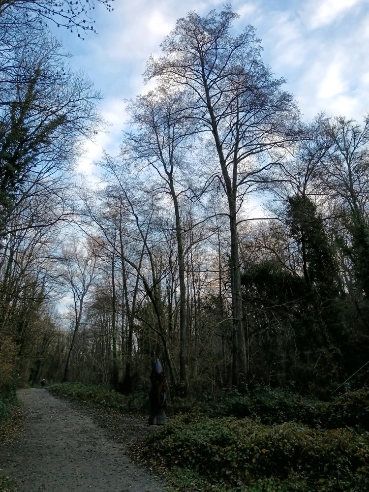 Image ajoutée par Saffiya