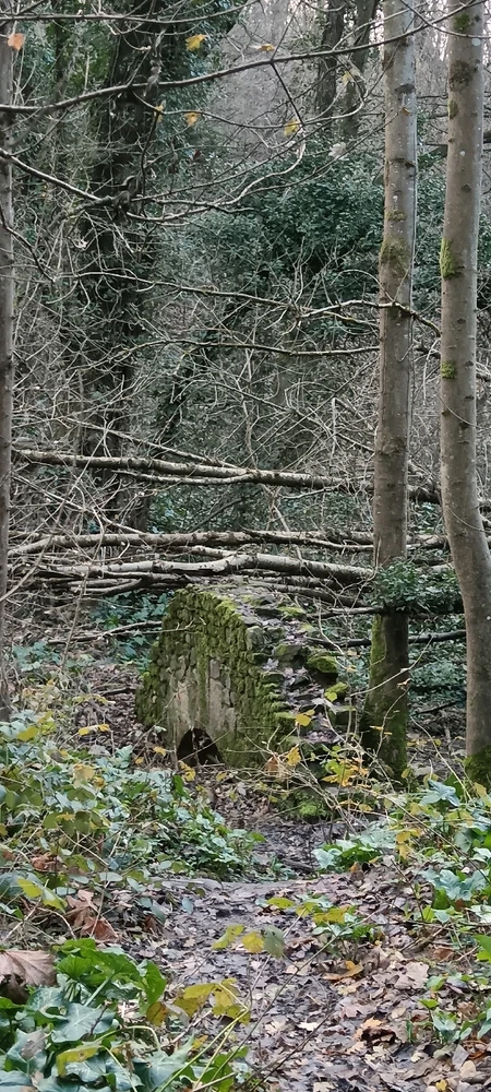 Image ajoutée par Saffiya