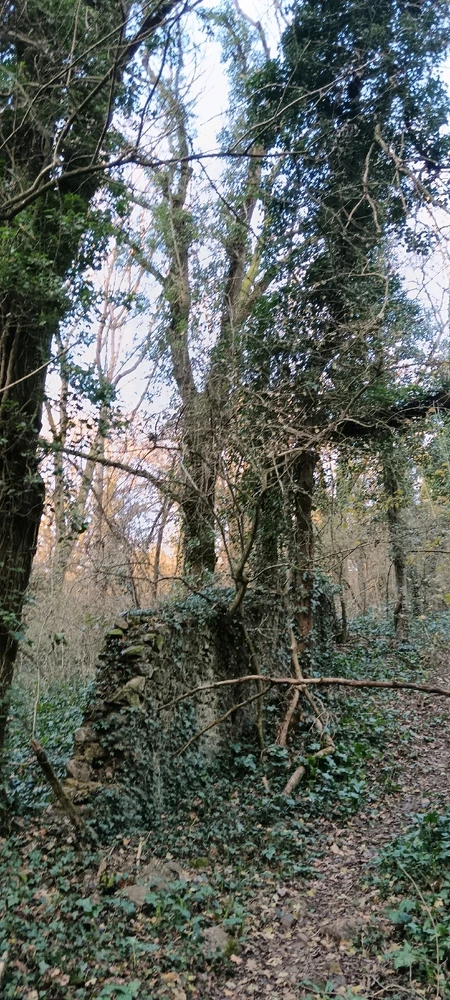 Image ajoutée par Saffiya