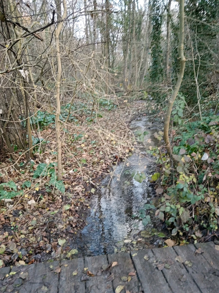 Image ajoutée par Saffiya