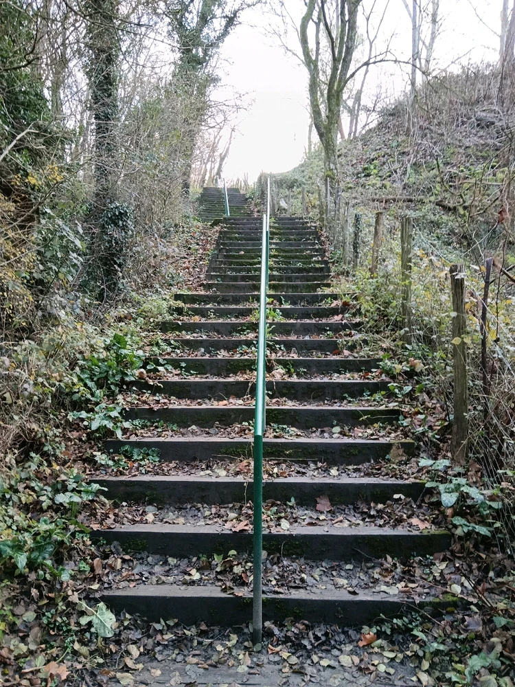 Image ajoutée par Saffiya