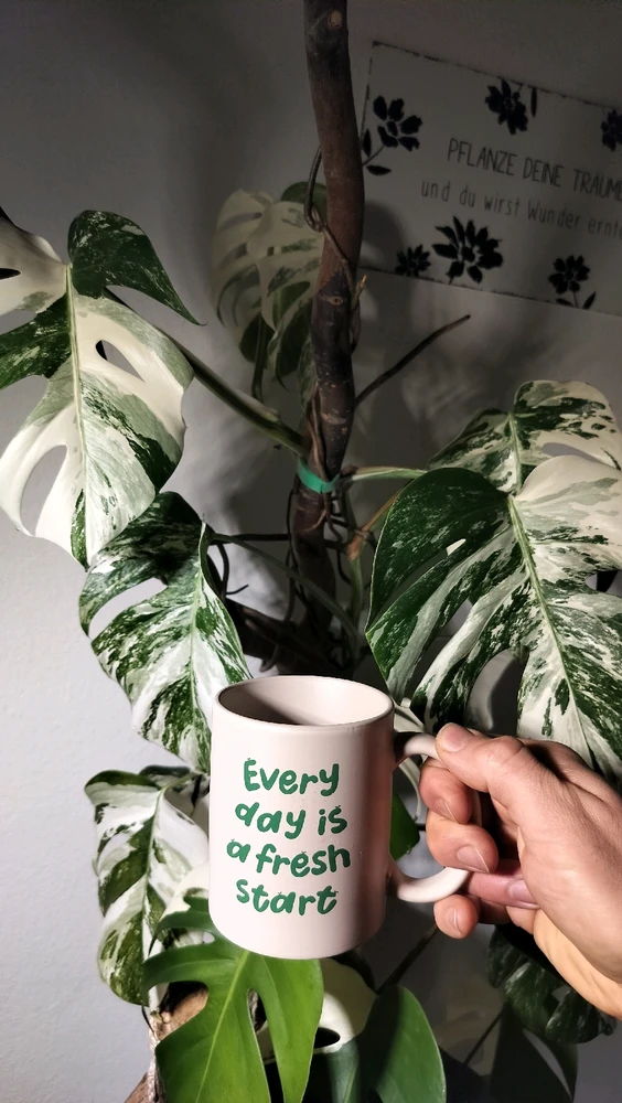 Bild hochgeladen von Mathias