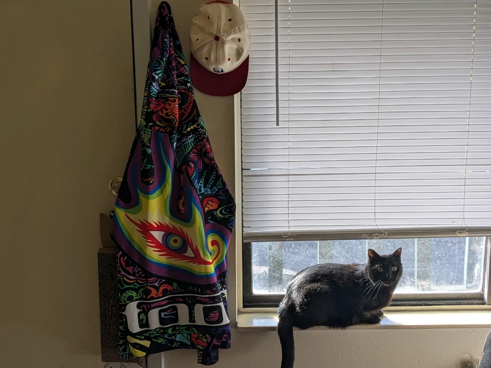 GIF uploaded by Nathan