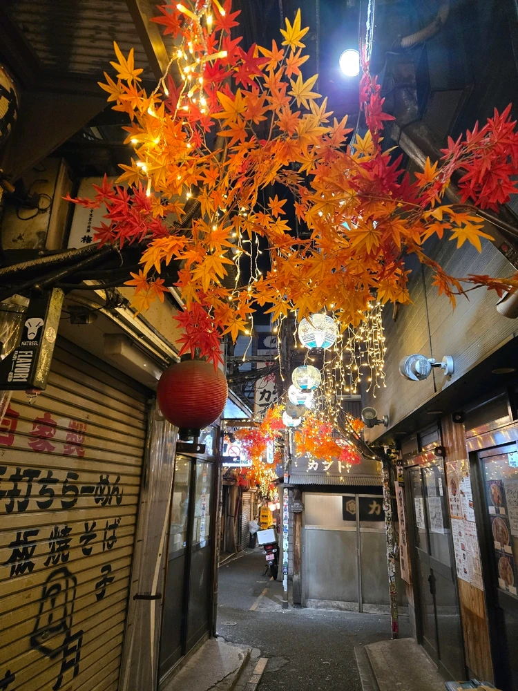 Image uploaded by Sayu