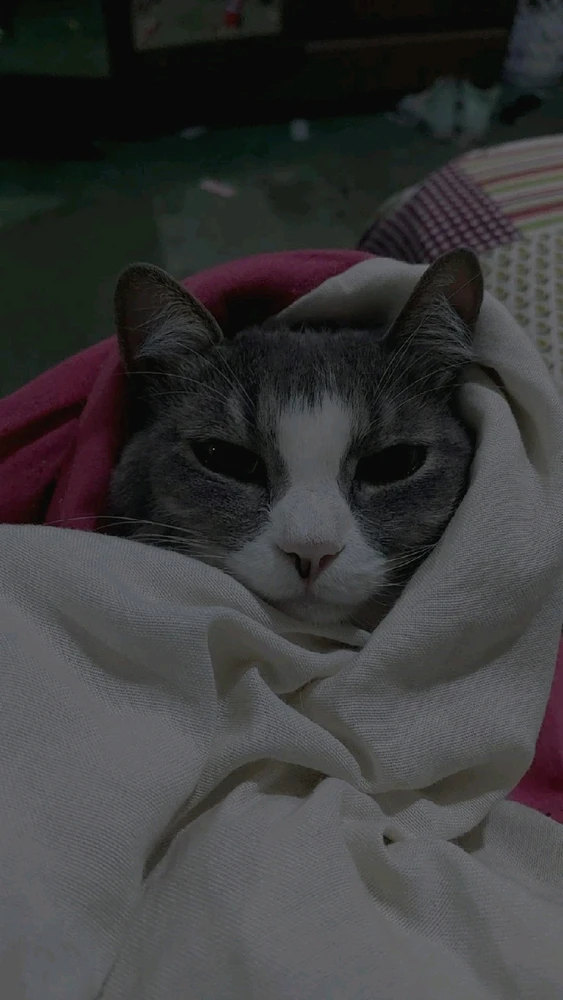 GIF enviado por Chel