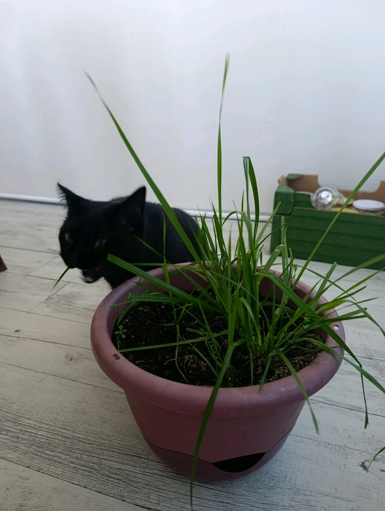 GIF nahrál ⭕⭕ Hlubina