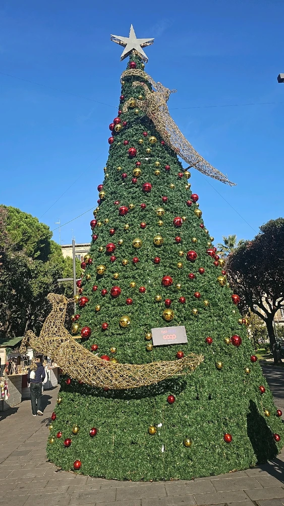 Questa di sera è accesa a festa e gira, molto bella, peccato che l'abbia visitata di mattina