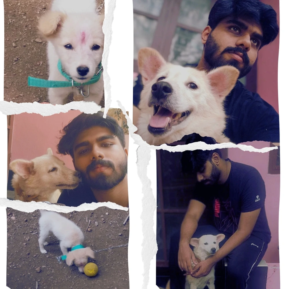 GIF uploaded by Abhijith AM