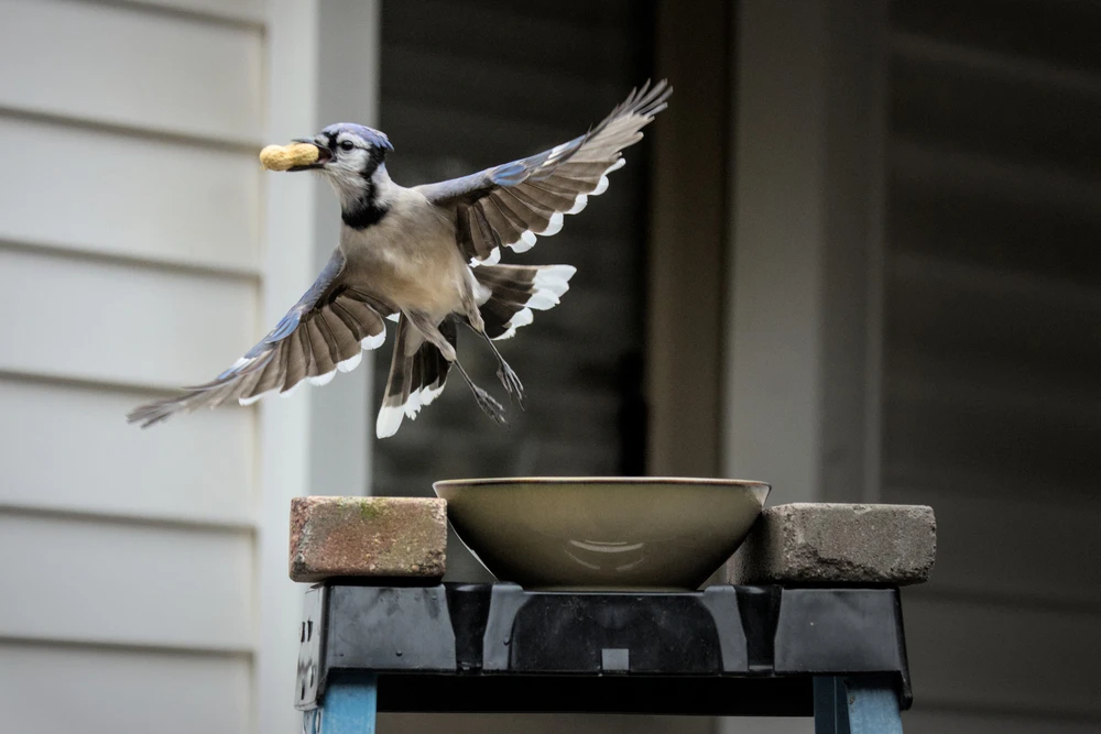 Image uploaded by Casper