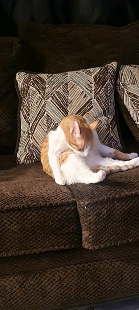 GIF diunggah dening Ethan