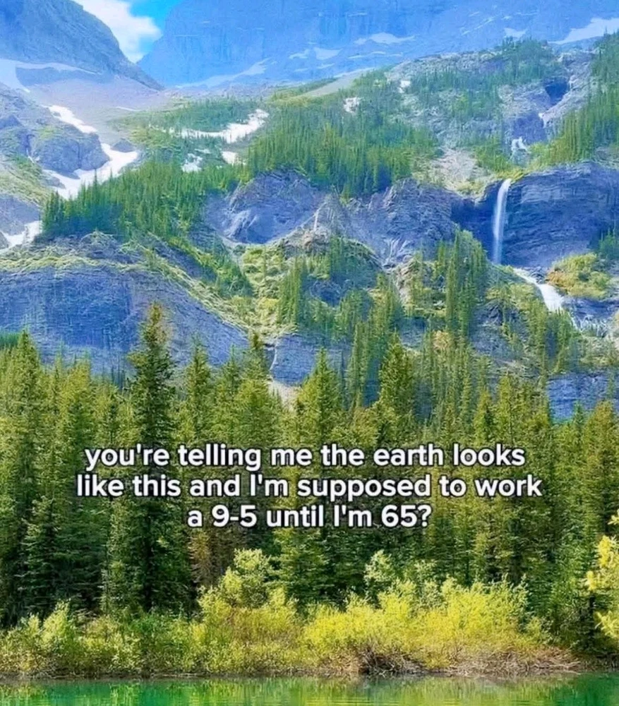 GIF uploaded by Shaa