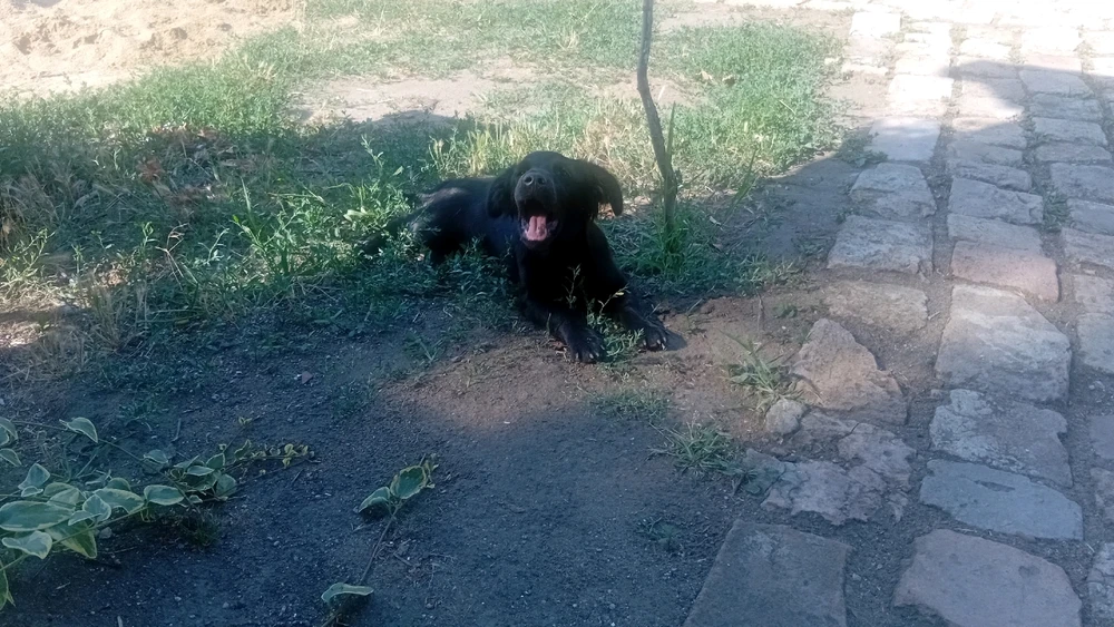 GIF uploaded by Marko