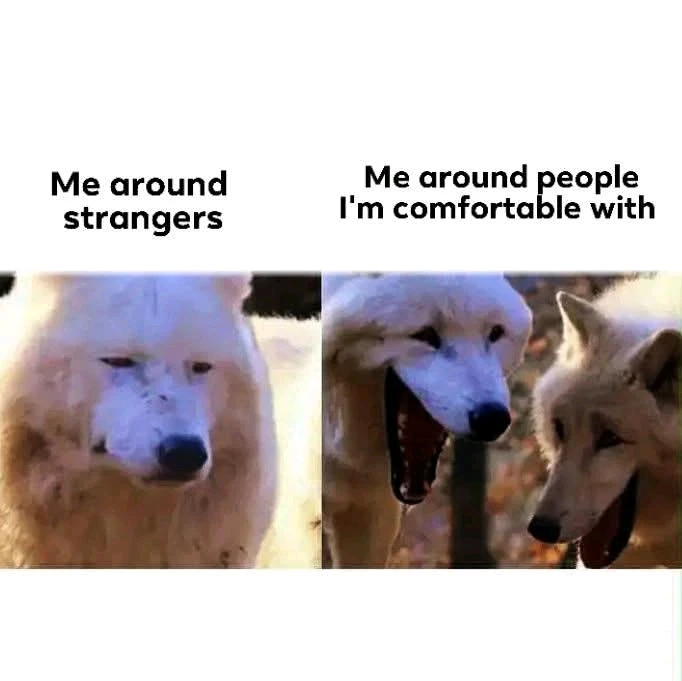 GIF uploaded by Chrif