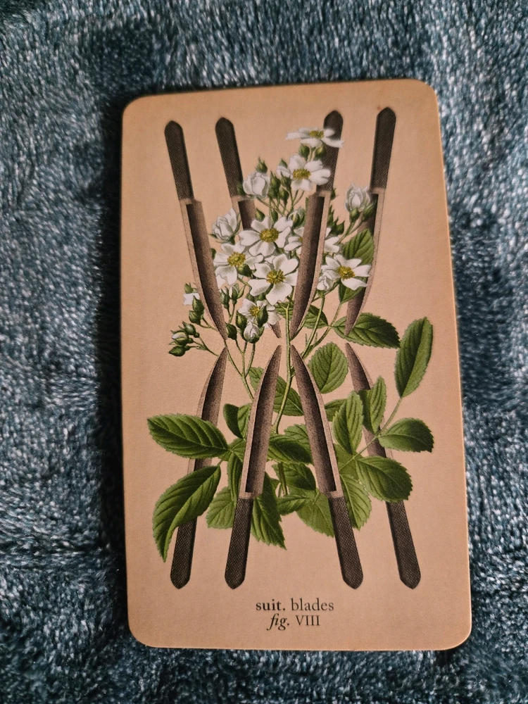 GIF uploaded by Jonathan