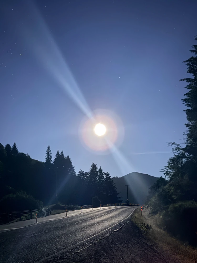 GIF uploaded by Andy