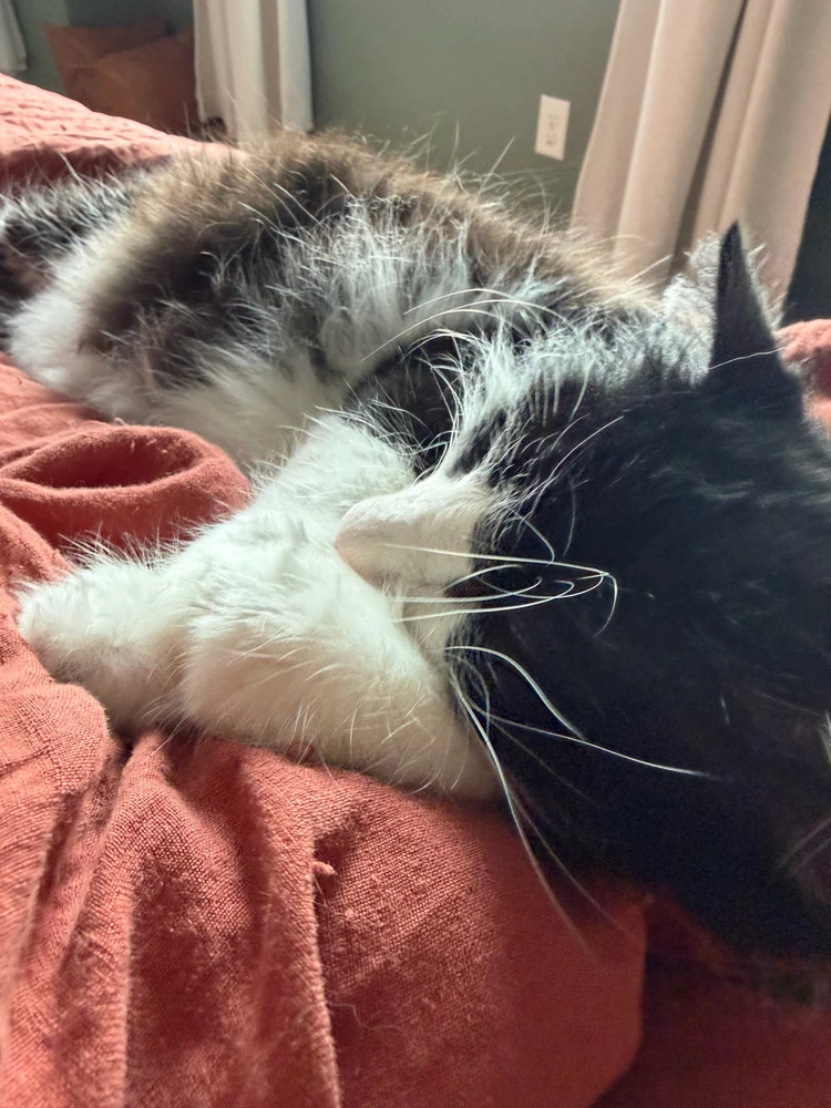 GIF uploaded by Melissa