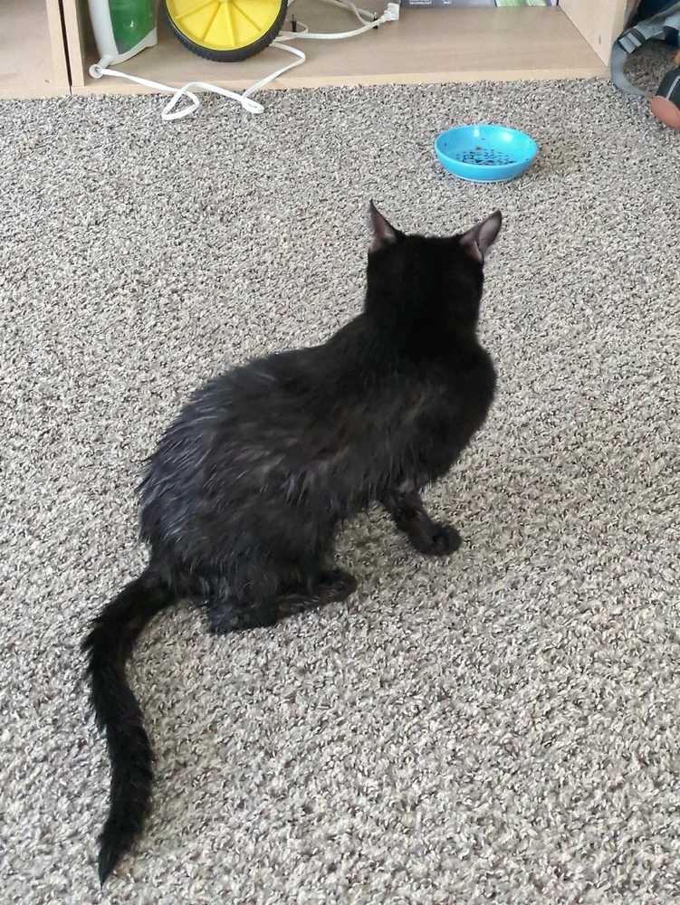 Image uploaded by Korey