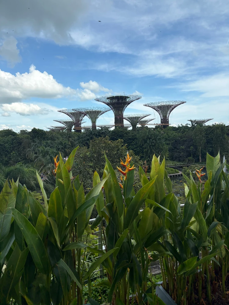 Image uploaded by Misa