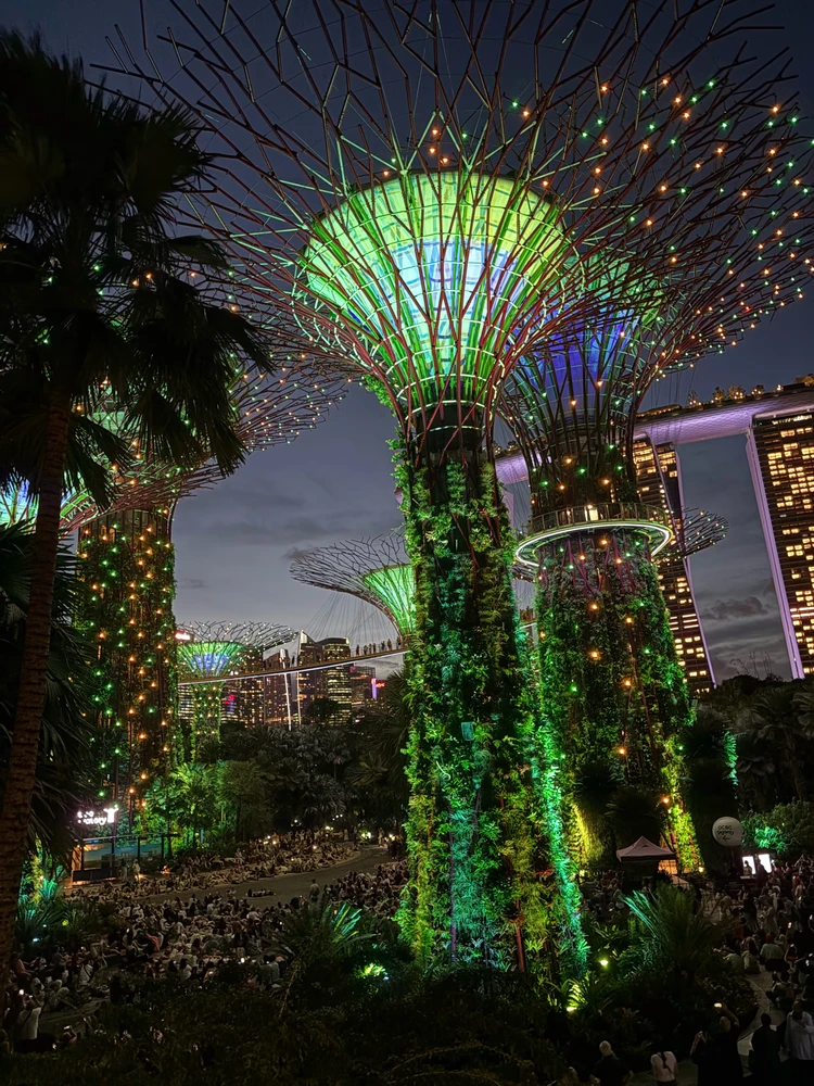 Image uploaded by Misa