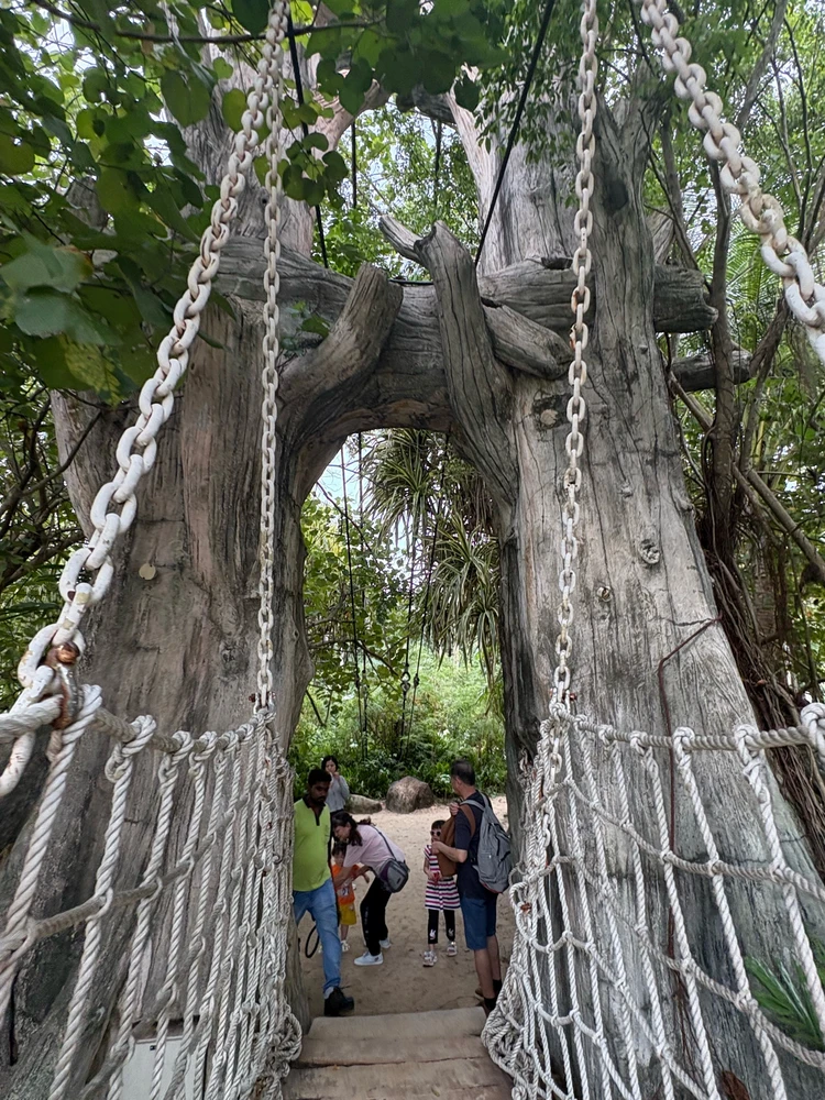 Image uploaded by Misa