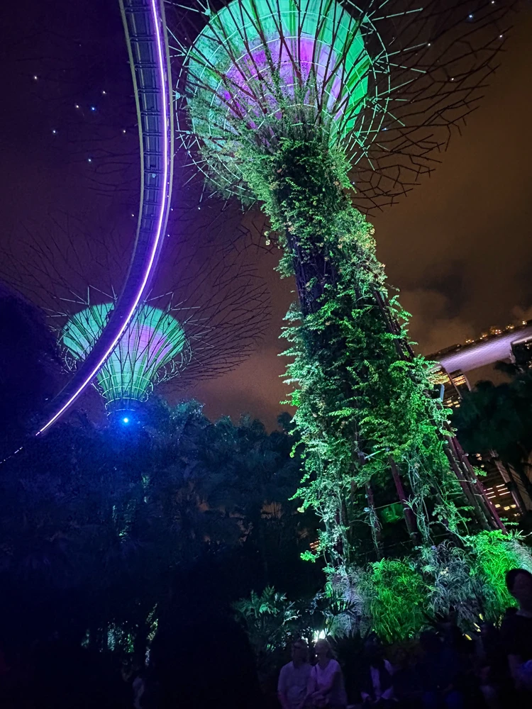 Image uploaded by Misa