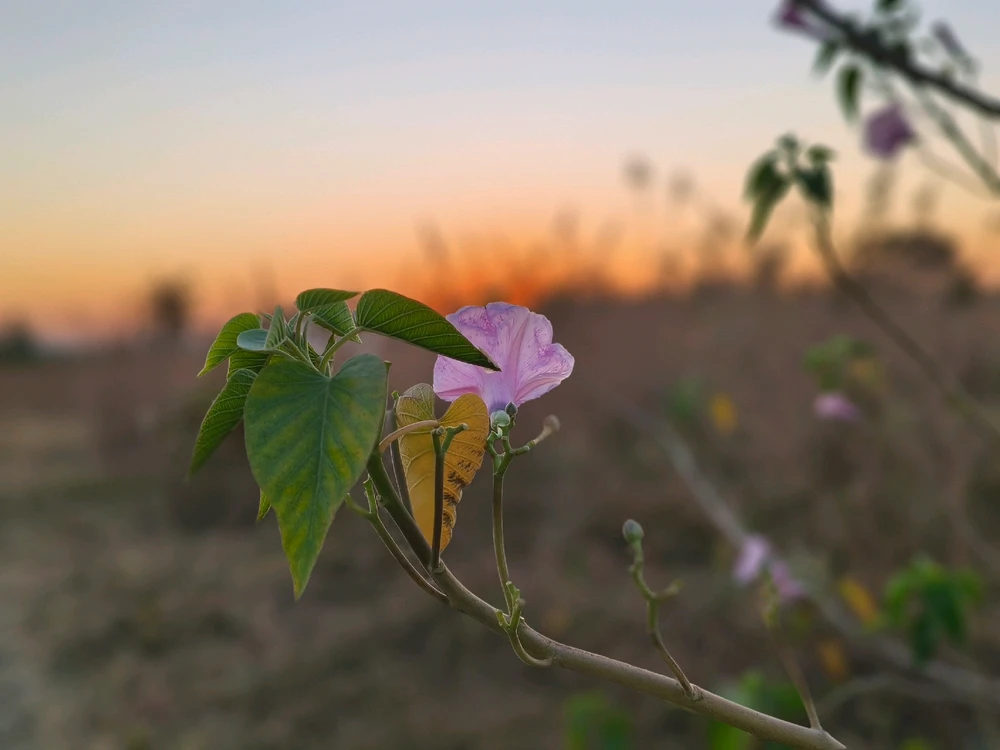 Image uploaded by Lake