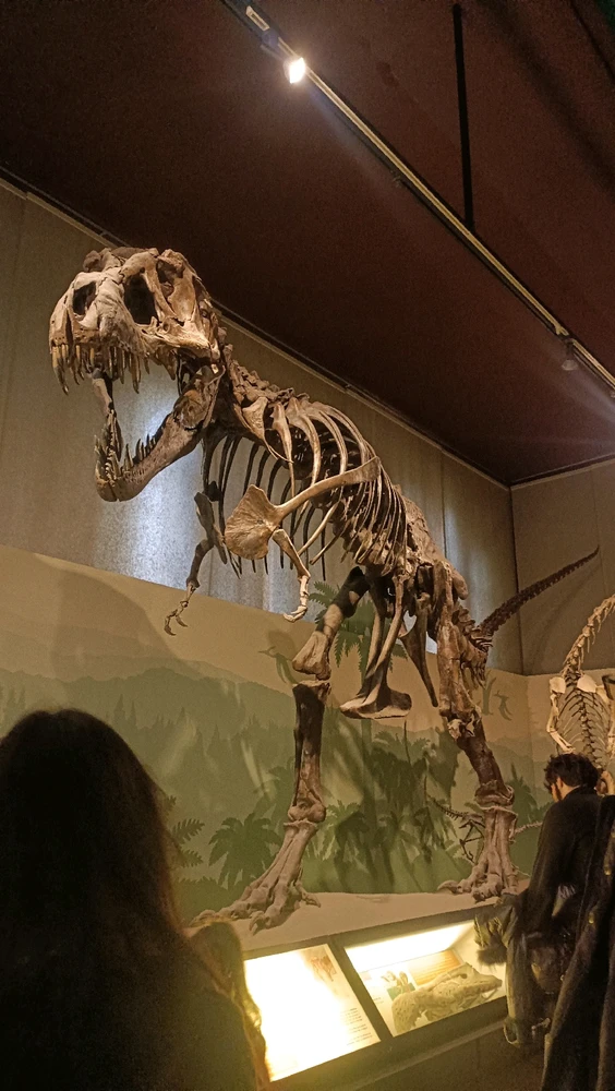 Image uploaded by धीरज(Dhiraj)