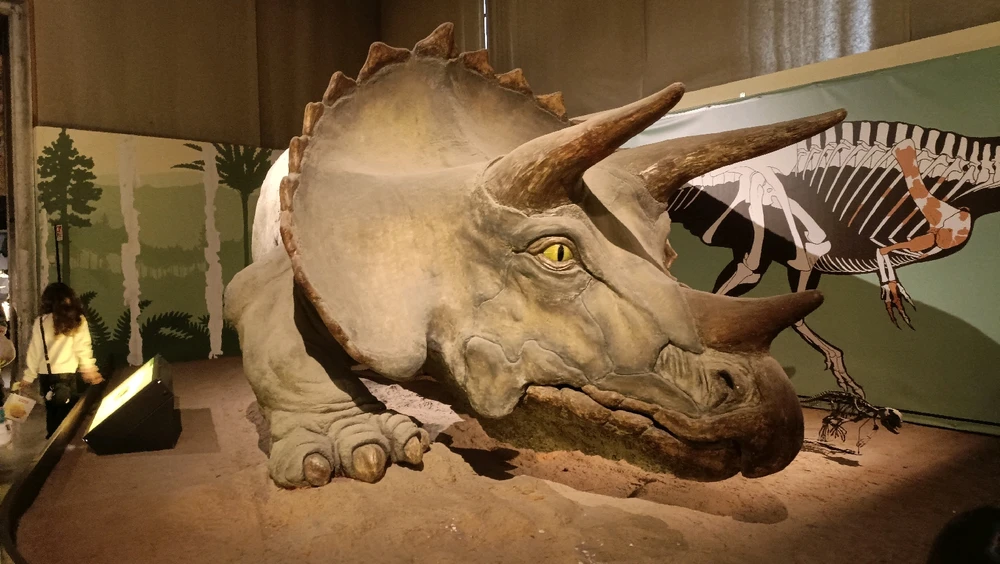 Image uploaded by धीरज(Dhiraj)