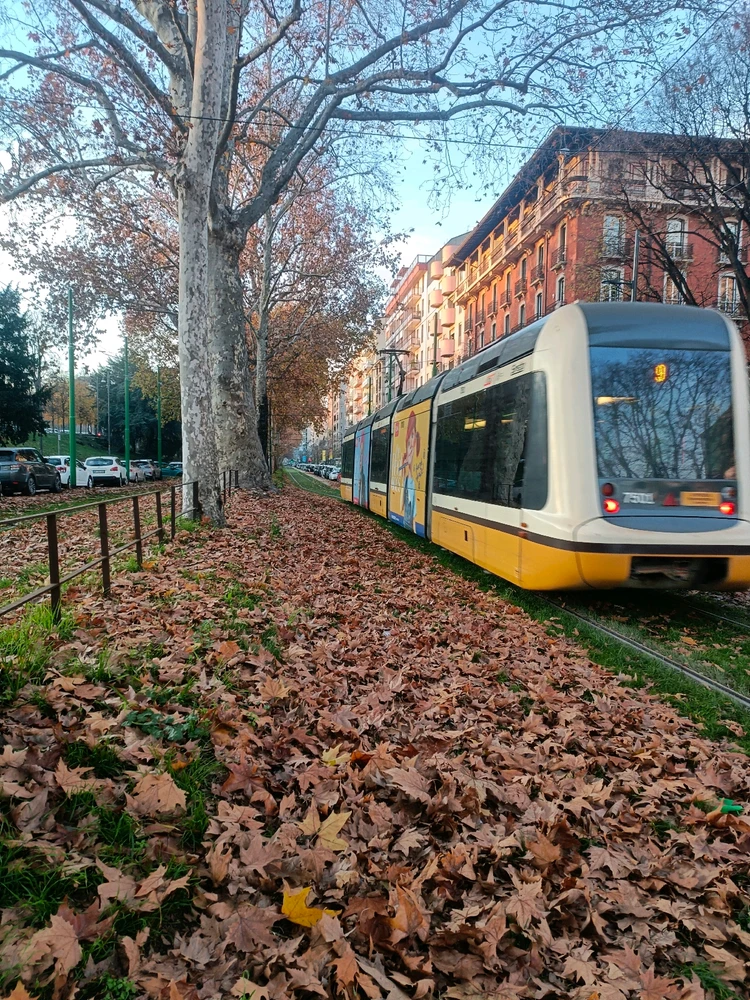 Image uploaded by धीरज(Dhiraj)