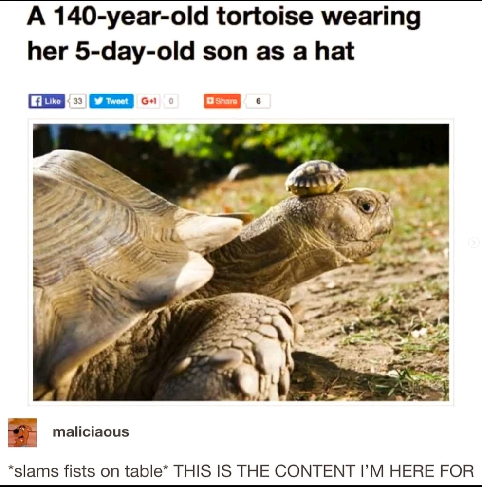 GIF uploaded by Reeta