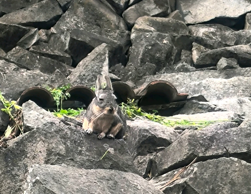 GIF uploaded by Naomi