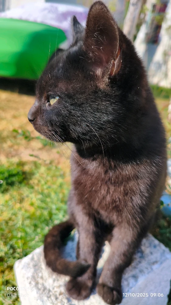 Image uploaded by Dax