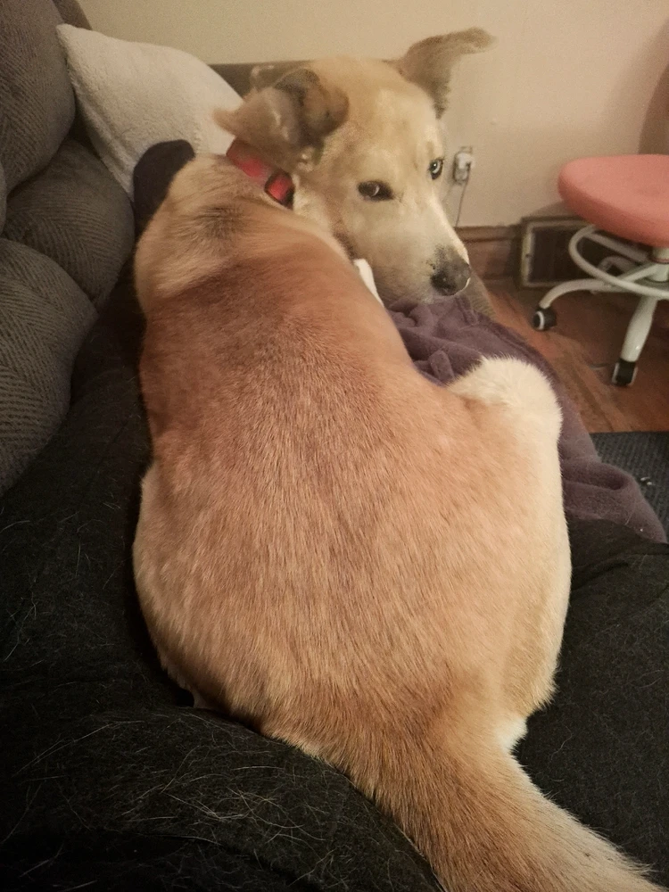 GIF uploaded by Angii