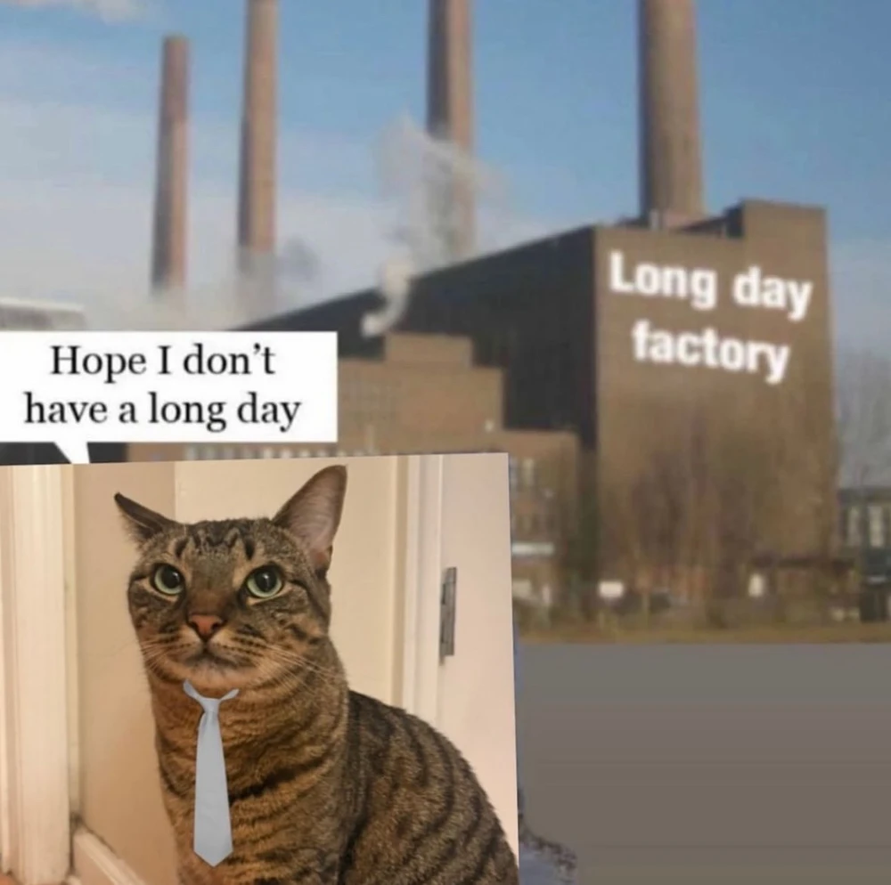 GIF uploaded by David