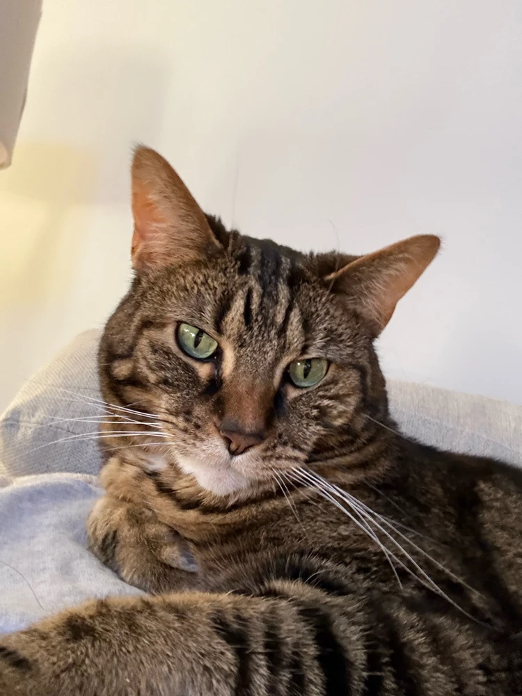 GIF uploaded by Allison