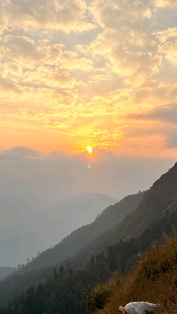 GIF uploaded by DEV PRAKASH BOSE