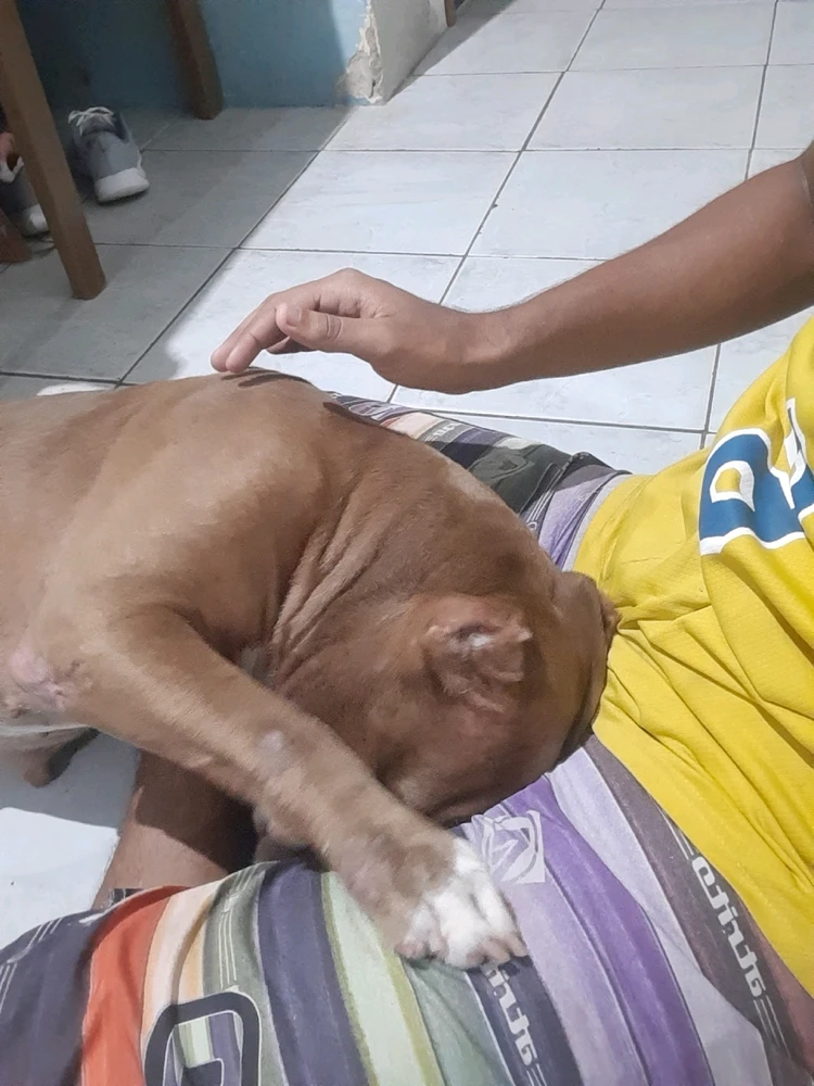 GIF enviado por Santoss