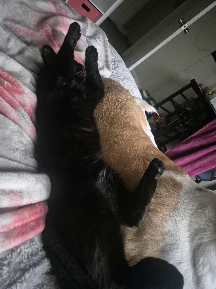 GIF uploaded by Sylvia