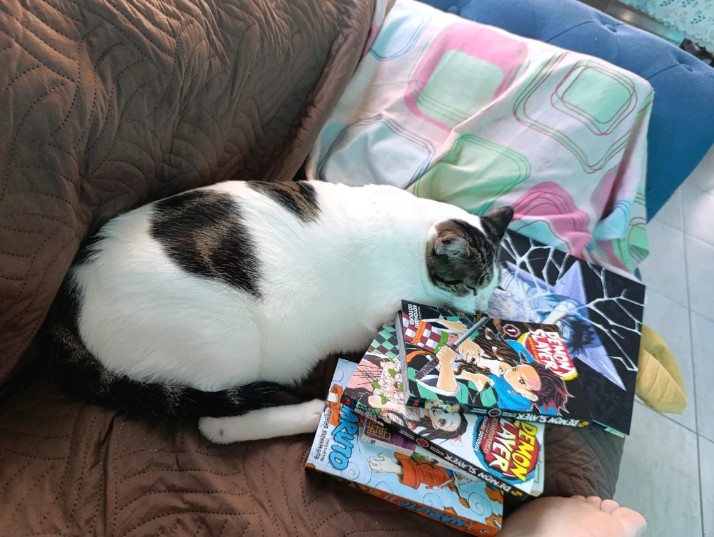 GIF uploaded by Odette