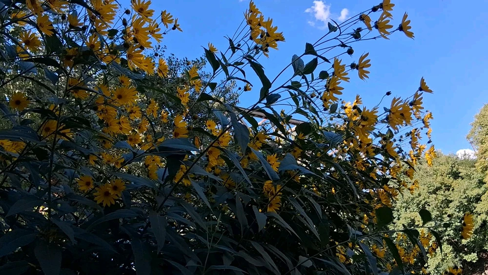 GIF uploaded by Eye of Ra