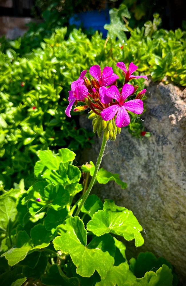 GIF subido por charlyyy