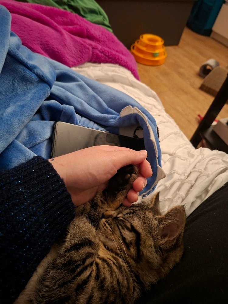 GIF ajouté par Clarisse